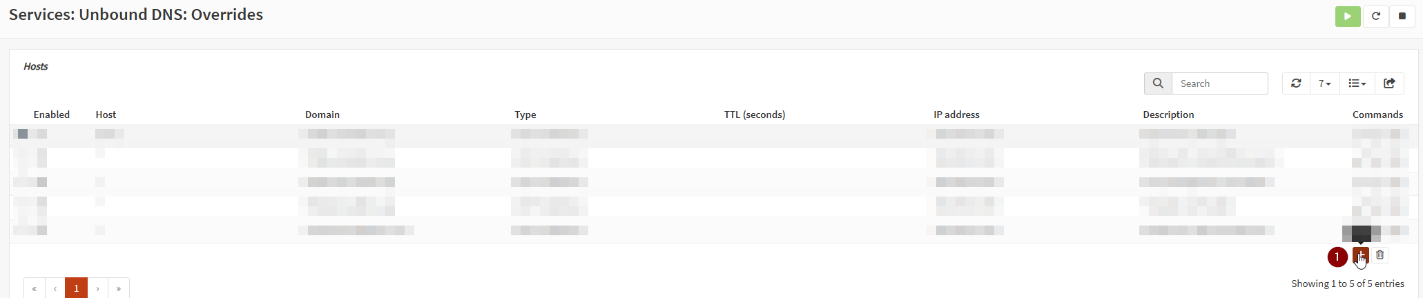 add dns override entry